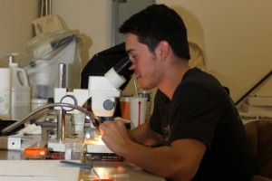 Jed Sharrard keying out macroinvertebrates