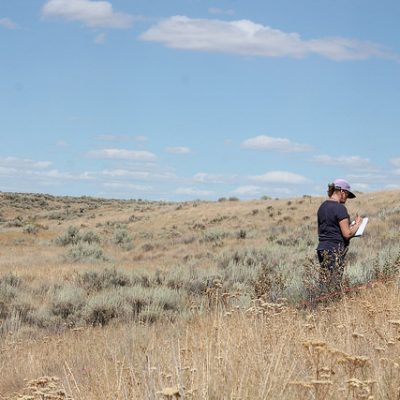 Pam Brunsfeld, Botanist on IE's Professional Roster, describing native flora in one of our Spalding's Catchfly sampling plots in the Channeled Scablands of eastern Washington