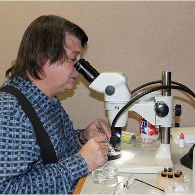 IE Taxonomist (Roderick Sprague, IV) identifying specimens