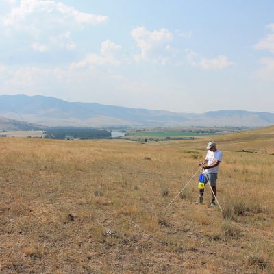 Wade Hoiland (IE Taxonomist) setting up a blue vane trap to sample native bees in the National Bison Range of western Montana