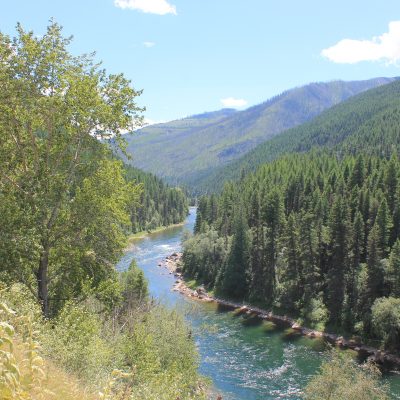Vview of the S. Fork Flathead River in northwest Montana