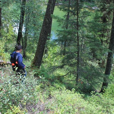 Jed Sharrard (IE Technician) hikes to a pitfall sampling site in the Canyon Reach of the S. Fork of the Flathead River, MT