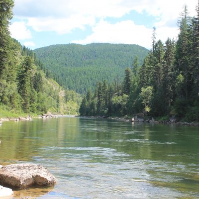 South Fork Flathead River in NW Montana.