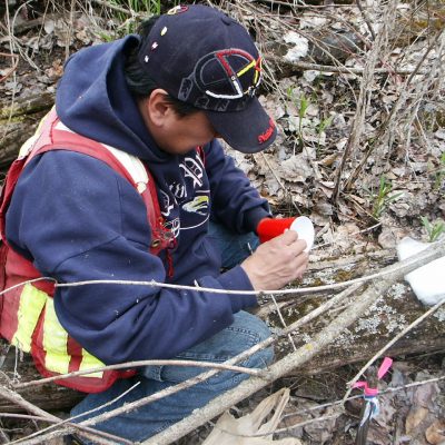 Kootenai Tribal Technician, Roland Caprio, prepares a pitfall trap in the riparian zone of the Kootenai floodplain