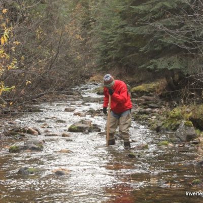 Wade Hoiland (ID Taxonomist) sampling stream with D-net.